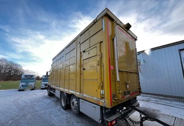 Volvo FH 420 • KABA • Transport Zwierząt 3xŚwinie/ 2xBydło 3-piętrowy • Euro 5 • Retarder • Oś podnoszona i skrętna - Truk pengangkut hewan: gambar 4 Volvo FH 420 • KABA • Transport Zwierząt 3xŚwinie/ 2xBydło 3-piętrowy • Euro 5 • Retarder • Oś podnoszona i skrętna - Truk pengangkut hewan: gambar 4
