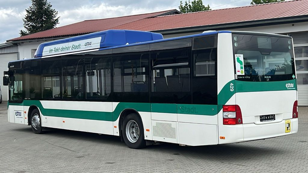MAN A 21 CNG Euro 5 EEV MAN A 21 CNG Euro 5 EEV - Bus kota: gambar 5 MAN A 21 CNG Euro 5 EEV MAN A 21 CNG Euro 5 EEV - Bus kota: gambar 5