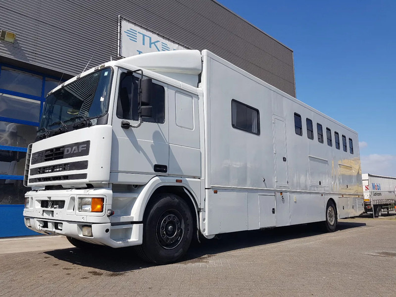 DAF 95.350 Paardenwagen met zitverblijf 7 paarden 7 horses - Truk pengangkut kuda: gambar 1 DAF 95.350 Paardenwagen met zitverblijf 7 paarden 7 horses - Truk pengangkut kuda: gambar 1