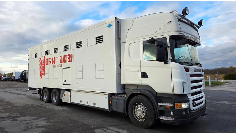 Scania R420 6X2 - Truk pengangkut hewan: gambar 2 Scania R420 6X2 - Truk pengangkut hewan: gambar 2