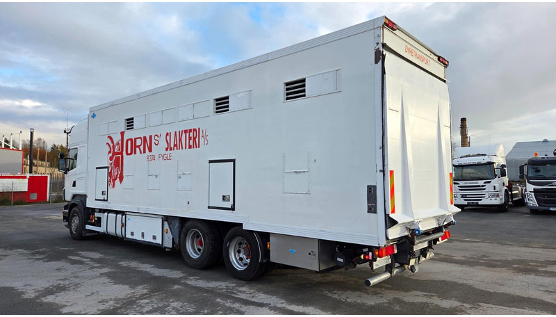 Scania R420 6X2 - Truk pengangkut hewan: gambar 4 Scania R420 6X2 - Truk pengangkut hewan: gambar 4