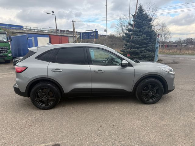 Ford Kuga Trend - Mobil sedan: gambar 3 Ford Kuga Trend - Mobil sedan: gambar 3