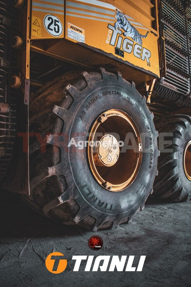 Tianli 750/65R26 (28LR26) AG RADIAL SPECIAL (AG-RS) 166A8/166B TL - Ban untuk Traktor: gambar 3 Tianli 750/65R26 (28LR26) AG RADIAL SPECIAL (AG-RS) 166A8/166B TL - Ban untuk Traktor: gambar 3