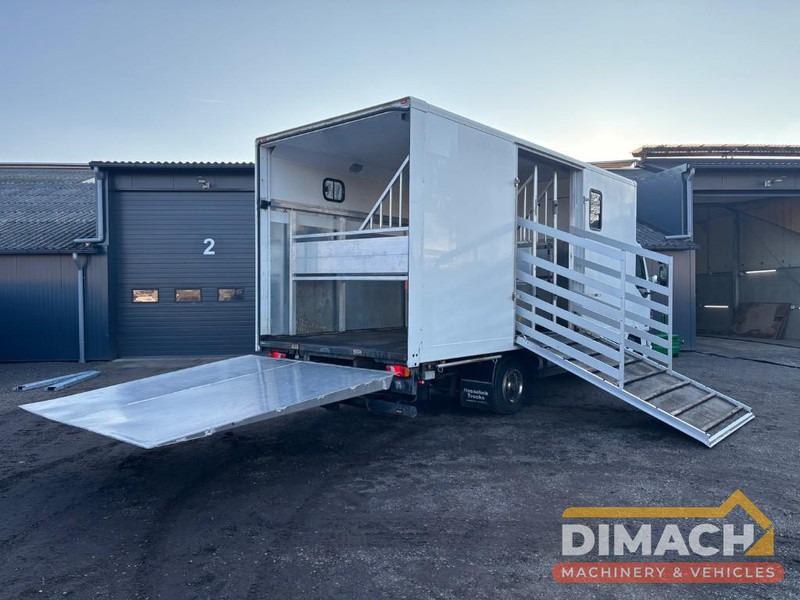 DAF FA LF45.150 4 paards, laadlift. Horsetruck NL truck - Truk pengangkut kuda: gambar 2 DAF FA LF45.150 4 paards, laadlift. Horsetruck NL truck - Truk pengangkut kuda: gambar 2