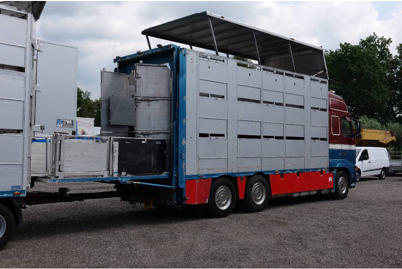 Volvo FH 13 480 6x2 3 stock livestock transport Cuppers - Truk pengangkut hewan: gambar 5 Volvo FH 13 480 6x2 3 stock livestock transport Cuppers - Truk pengangkut hewan: gambar 5