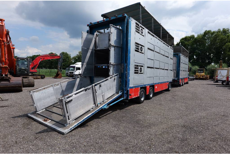 Volvo FH 13 480 6x2 3 stock livestock transport Cuppers - Truk pengangkut hewan: gambar 3 Volvo FH 13 480 6x2 3 stock livestock transport Cuppers - Truk pengangkut hewan: gambar 3