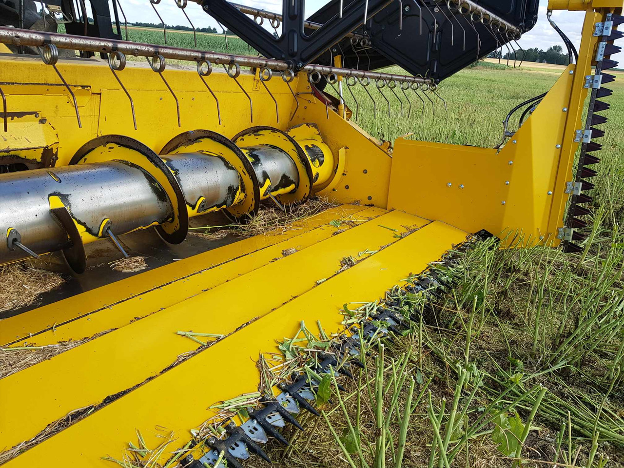 Ekstensi header pemerkosaan baru Lupus Rapsvorsatz / Rape cutter / Barre de coupe à colza / Mesa de colza / Tavolo da colza / Рапсовый стол / Stół do rzepaku 6 m: gambar 9