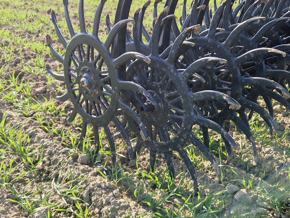 Namysło Rotorstriegel / Rotary hoe / Houe rotative / Ротационная борона / Brona wirnikowa / Pielnik 6,6 m - Petani: gambar 4 Namysło Rotorstriegel / Rotary hoe / Houe rotative / Ротационная борона / Brona wirnikowa / Pielnik 6,6 m - Petani: gambar 4