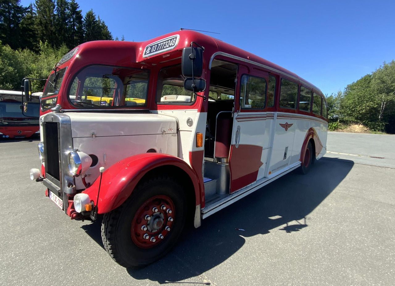 Leyland Tiger TS6 - Bus: gambar 2 Leyland Tiger TS6 - Bus: gambar 2