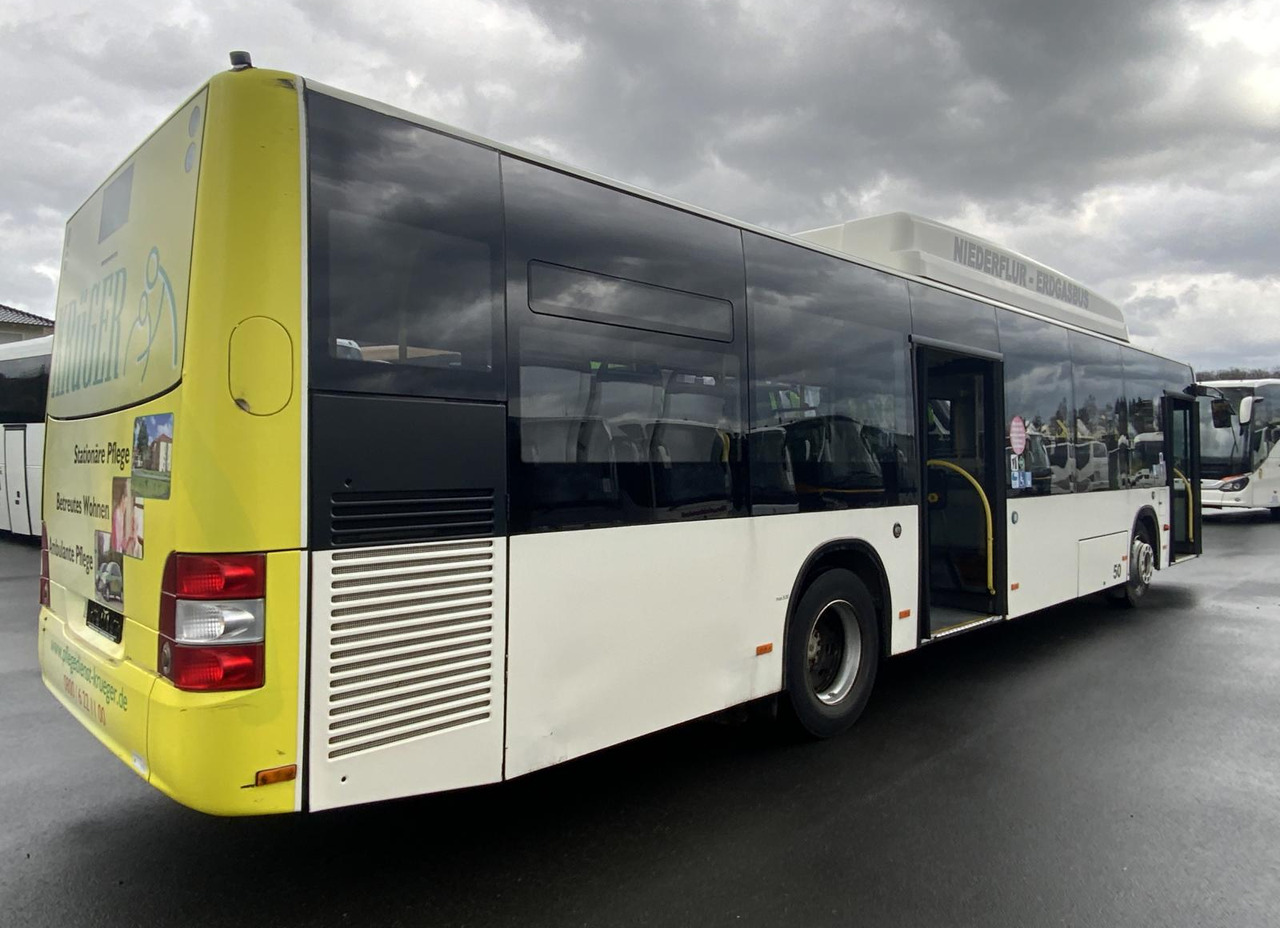 MAN A 21 Lion´s City - Bus kota: gambar 4 MAN A 21 Lion´s City - Bus kota: gambar 4