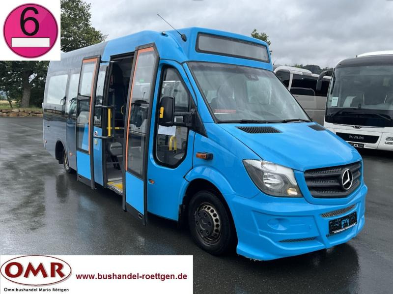 Bus mini, Van penumpang Mercedes Mercedes-Benz 516 CDI Sprinter LE: gambar 1