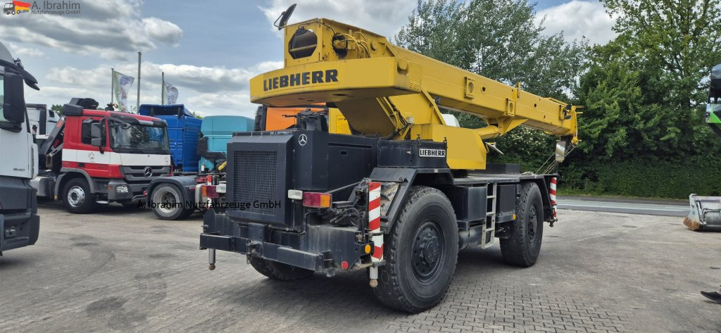 Derek medan kasar Liebherr LTL1025: gambar 12