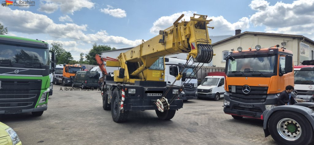Derek medan kasar Liebherr LTL1025: gambar 9
