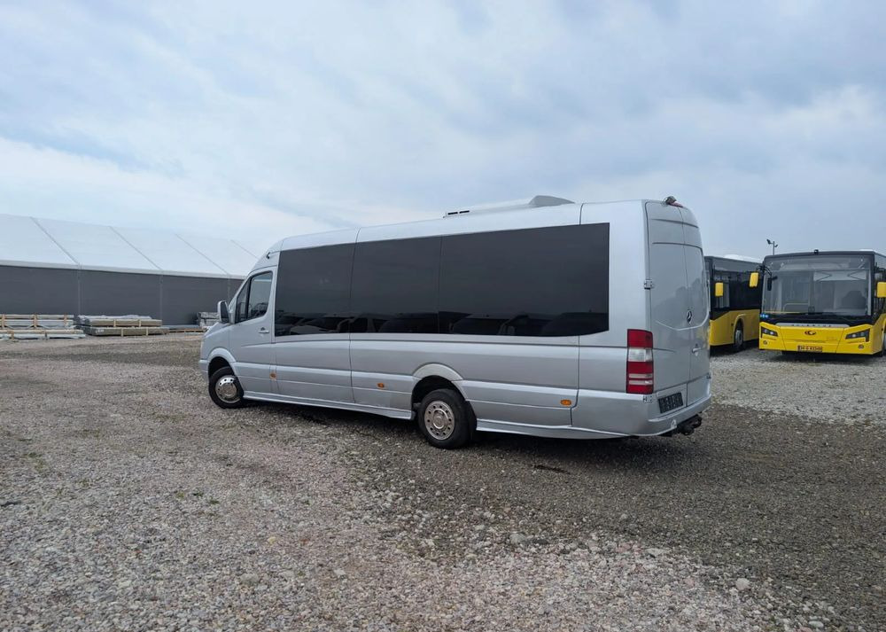 Bus mini, Van penumpang Mercedes-Benz Sprinter 516: gambar 6