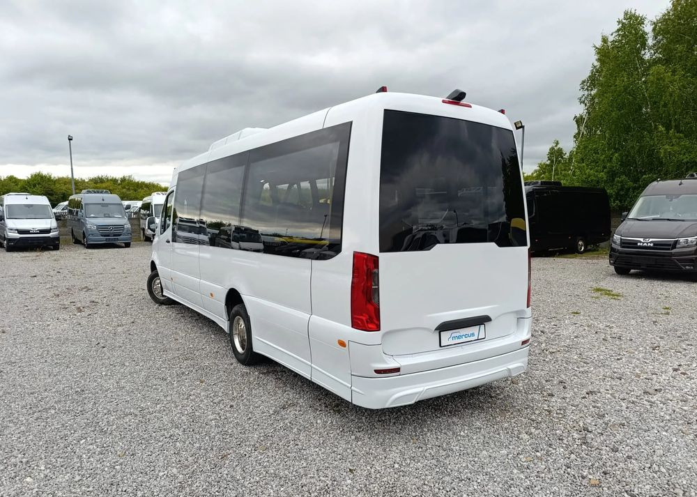 Bus mini, Van penumpang baru Mercedes-Benz Sprinter 517: gambar 8