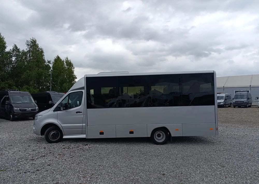 Bus mini, Van penumpang baru Mercedes-Benz Sprinter 519: gambar 10