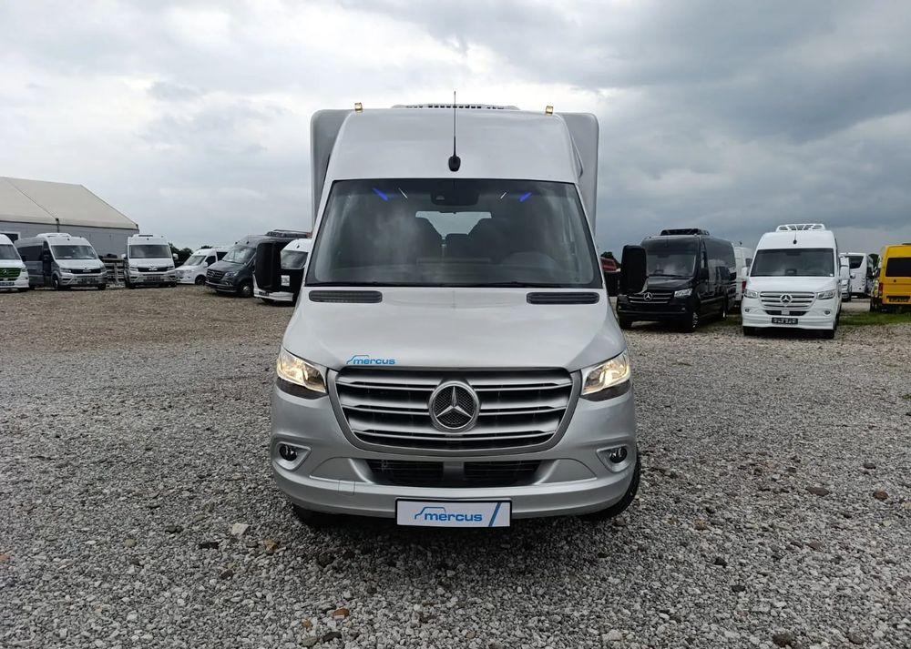 Bus mini, Van penumpang baru Mercedes-Benz Sprinter 519: gambar 13