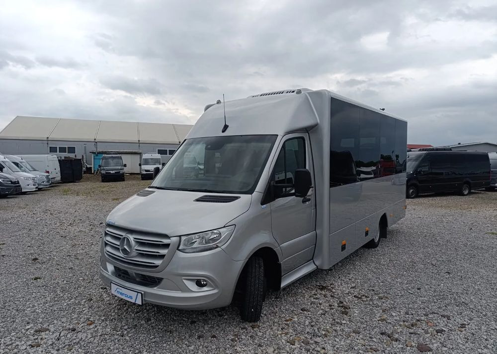 Bus mini, Van penumpang baru Mercedes-Benz Sprinter 519: gambar 12
