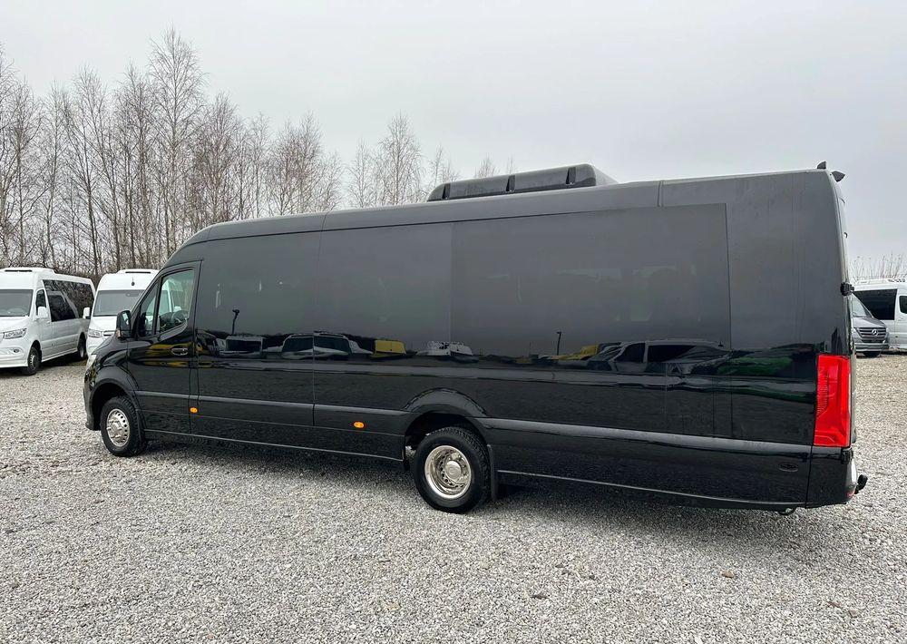 Bus mini, Van penumpang baru Mercedes-Benz Sprinter 519: gambar 8