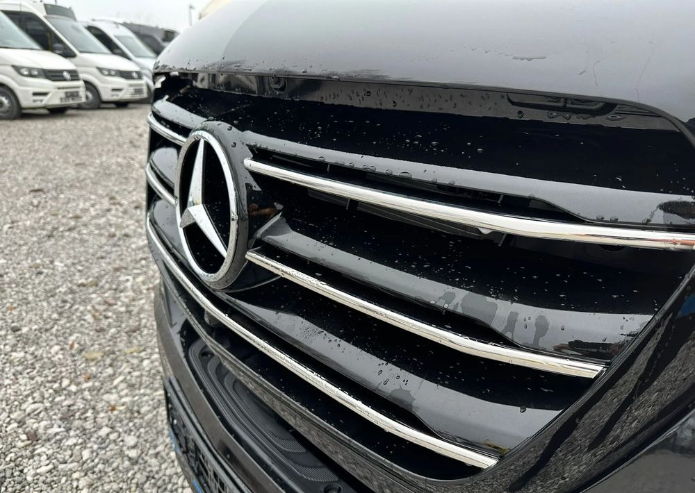 Bus mini, Van penumpang baru Mercedes-Benz Sprinter 519: gambar 10