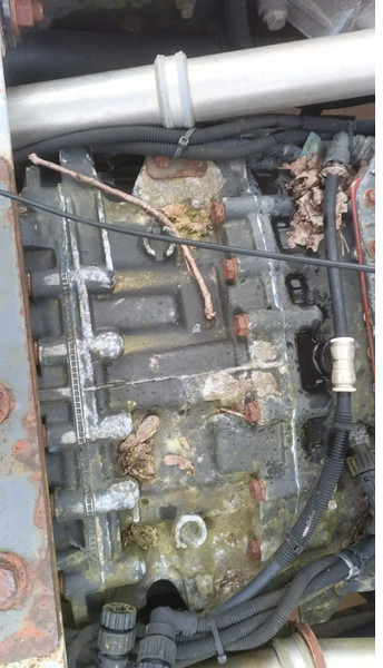 Renault Premium 420 Dci Engine + Automatic Gearbox - Mesin untuk Truk: gambar 5 Renault Premium 420 Dci Engine + Automatic Gearbox - Mesin untuk Truk: gambar 5