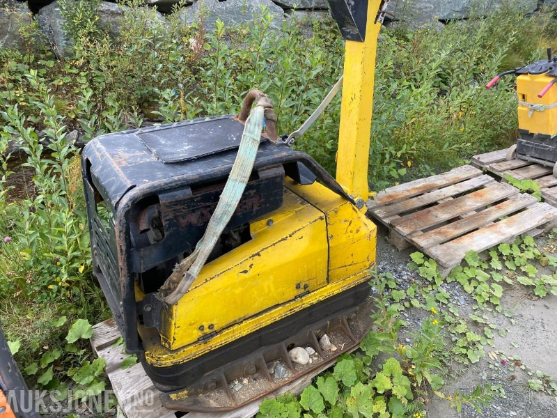 2008 Wacker hoppetusse - Vibroplate - Roller: gambar 4 2008 Wacker hoppetusse - Vibroplate - Roller: gambar 4