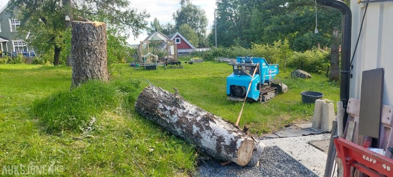 2016 Messersi Tch 10d - Selvlastende minidumper - Tempat sampah: gambar 5 2016 Messersi Tch 10d - Selvlastende minidumper - Tempat sampah: gambar 5