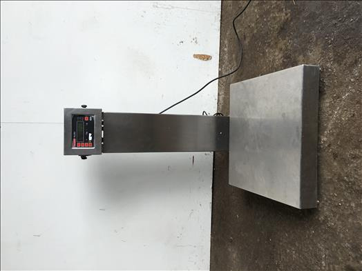 Avery Berkel HL265 tabletop platform scales - Mesin makanan: gambar 1 Avery Berkel HL265 tabletop platform scales - Mesin makanan: gambar 1