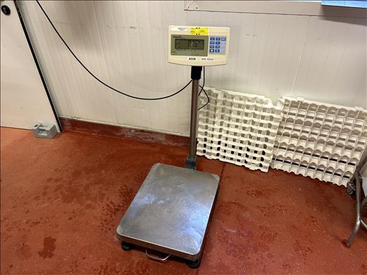 Precia Access Mini400 Platform scale - Mesin makanan: gambar 1 Precia Access Mini400 Platform scale - Mesin makanan: gambar 1