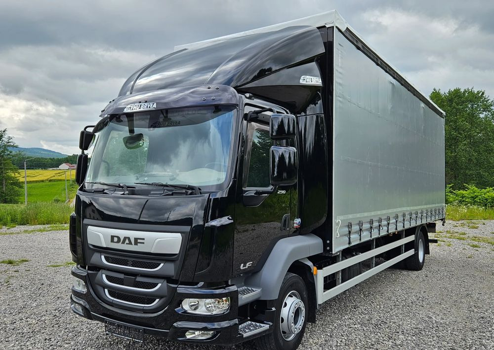 Truk dengan terpal samping DAF LF 290 / WINDA / 16TON DMC / FIRANKA / AUTOMAT / JEDEN WŁAŚCICIE  / EURO 6 / 2019 / SPROWADZONY / 20PALET / NISKI PRZEBIEG / DUŻA ŁADOWNOŚĆ / JAK NOWY: gambar 9
