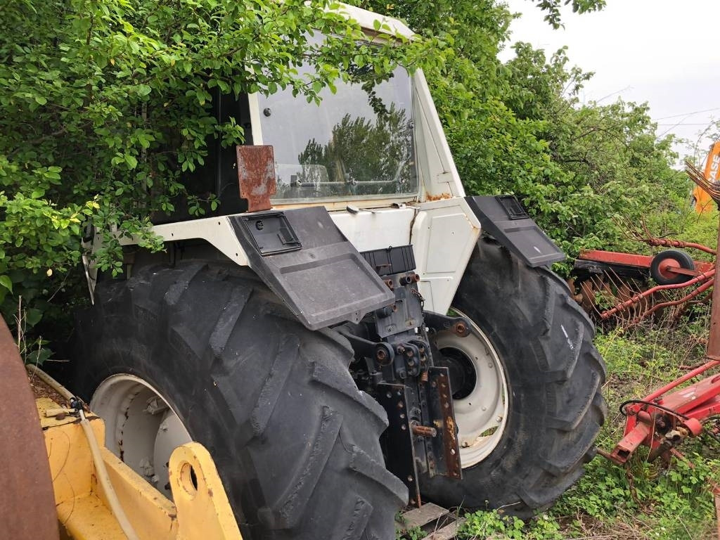 Lamborghini For Parts 1556 DT - Traktor: gambar 2 Lamborghini For Parts 1556 DT - Traktor: gambar 2