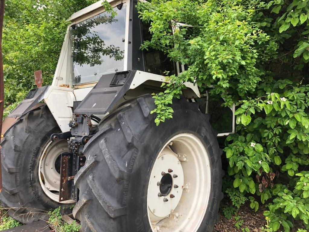 Lamborghini For Parts 1556 DT - Traktor: gambar 3 Lamborghini For Parts 1556 DT - Traktor: gambar 3