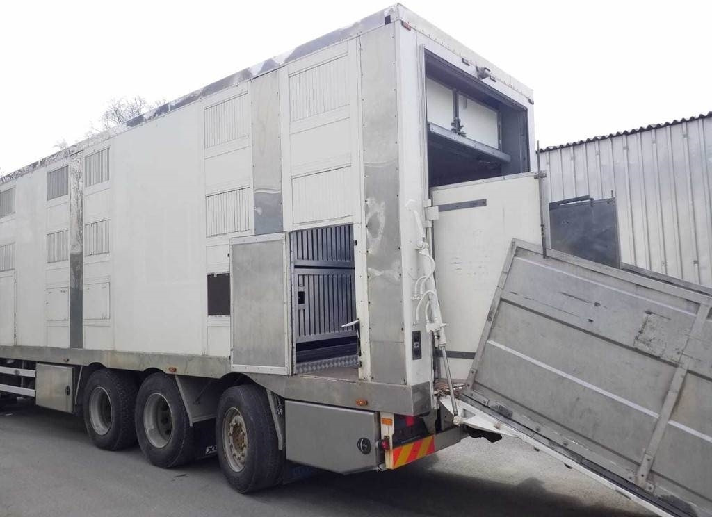 MAN TGX 35.540 8X4 TRIDEM ANIMAL - Truk pengangkut hewan: gambar 5 MAN TGX 35.540 8X4 TRIDEM ANIMAL - Truk pengangkut hewan: gambar 5