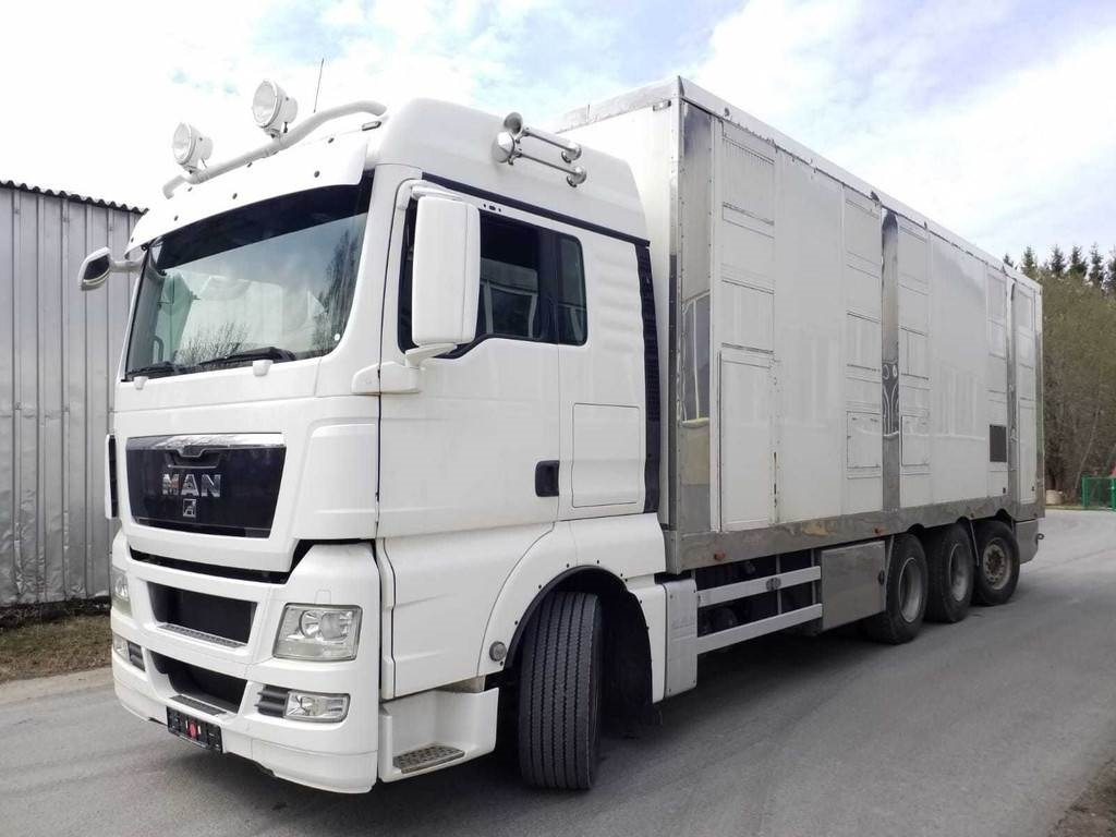 MAN TGX 35.540 8X4 TRIDEM ANIMAL - Truk pengangkut hewan: gambar 1 MAN TGX 35.540 8X4 TRIDEM ANIMAL - Truk pengangkut hewan: gambar 1