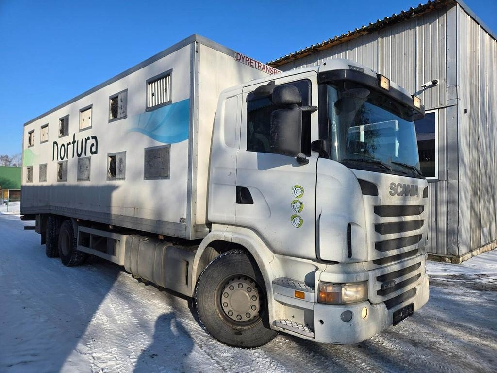 Scania G440 - Truk pengangkut hewan: gambar 4 Scania G440 - Truk pengangkut hewan: gambar 4