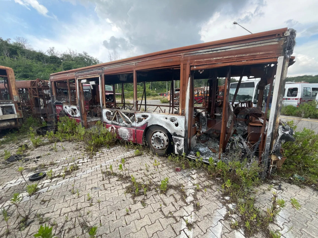 Bundle di 7 mezzi Iveco - Citelis Iveco - Citelis Iveco - Citelis Iveco - Citelis Iveco - Citelis Iveco - Citelis Iveco - Citelis - Bus kota: gambar 3 Bundle di 7 mezzi Iveco - Citelis Iveco - Citelis Iveco - Citelis Iveco - Citelis Iveco - Citelis Iveco - Citelis Iveco - Citelis - Bus kota: gambar 3