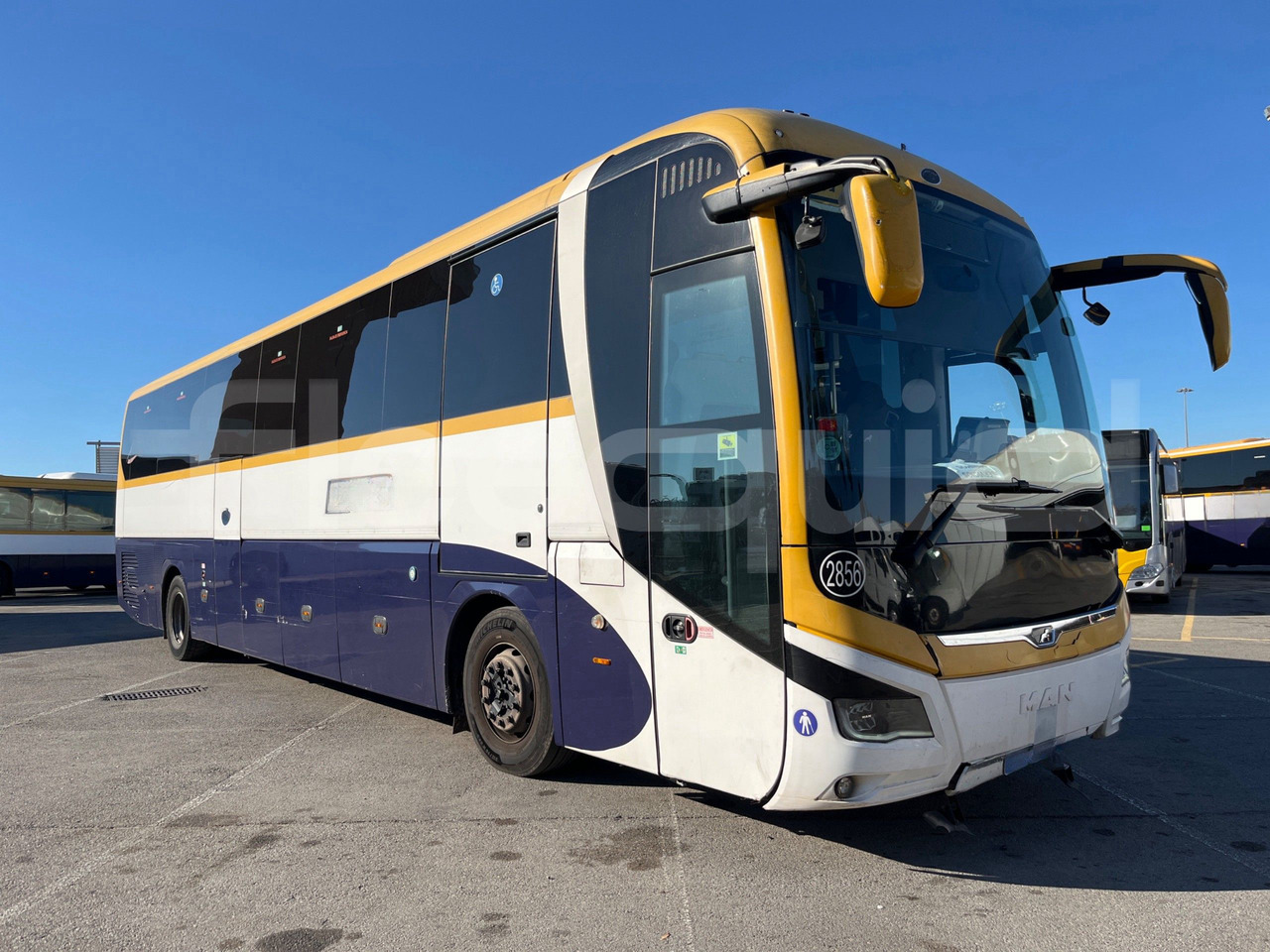 Man Lion's Coach - Bus pariwisata: gambar 1 Man Lion's Coach - Bus pariwisata: gambar 1