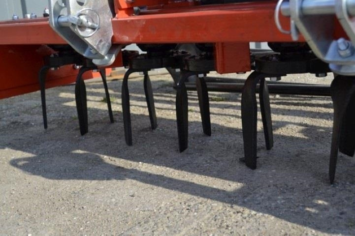 - - - boxer - Garu: gambar 4 - - - boxer - Garu: gambar 4