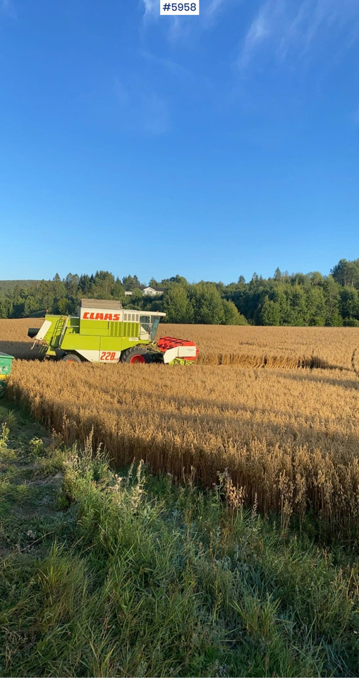 1993 Claas Commandor 228 CS - Pemanen gabungan: gambar 4 1993 Claas Commandor 228 CS - Pemanen gabungan: gambar 4