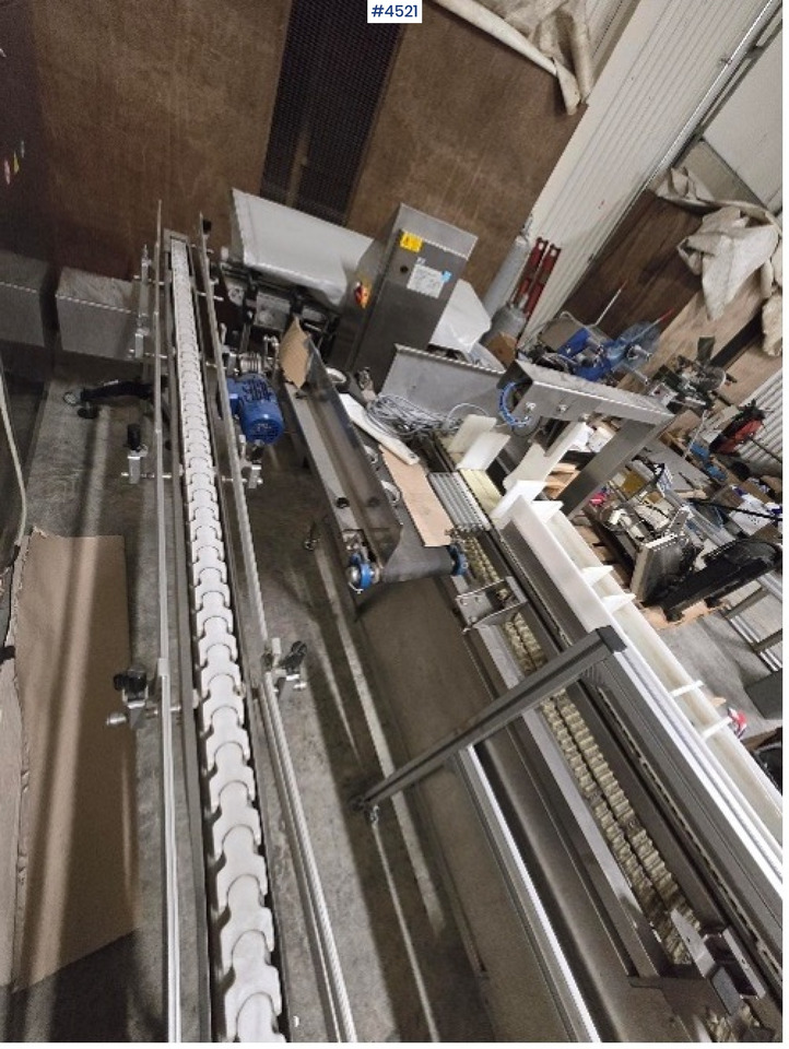 Mesin pengemas 2010 Newtec, Fischer and Record Scorpion cup fruit packer line: gambar 1