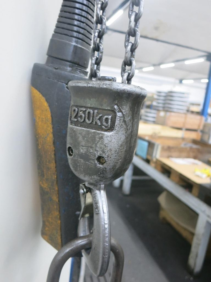Demag 250 kg - Derek: gambar 3 Demag 250 kg - Derek: gambar 3