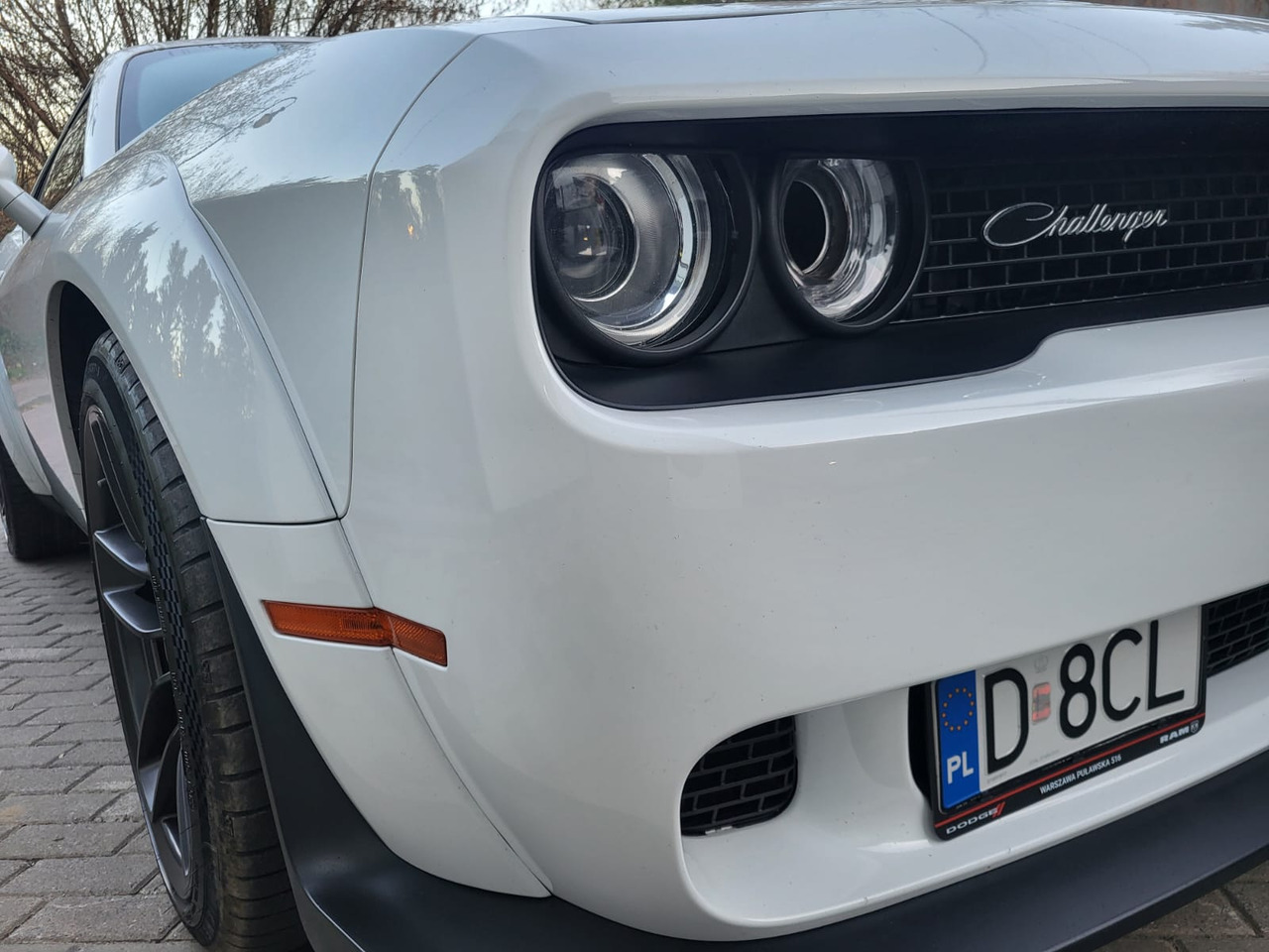Dodge Challenger - Mobil: gambar 2 Dodge Challenger - Mobil: gambar 2