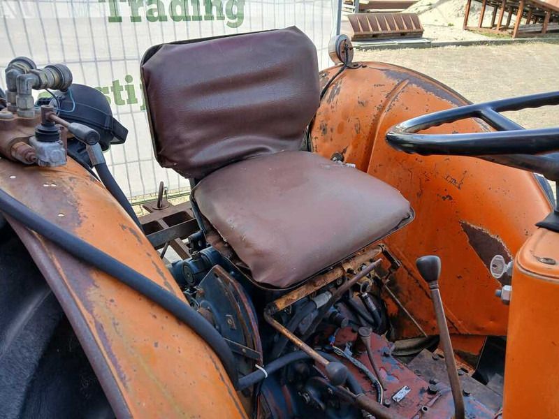 Fiat 450 vigneto - Traktor: gambar 2 Fiat 450 vigneto - Traktor: gambar 2