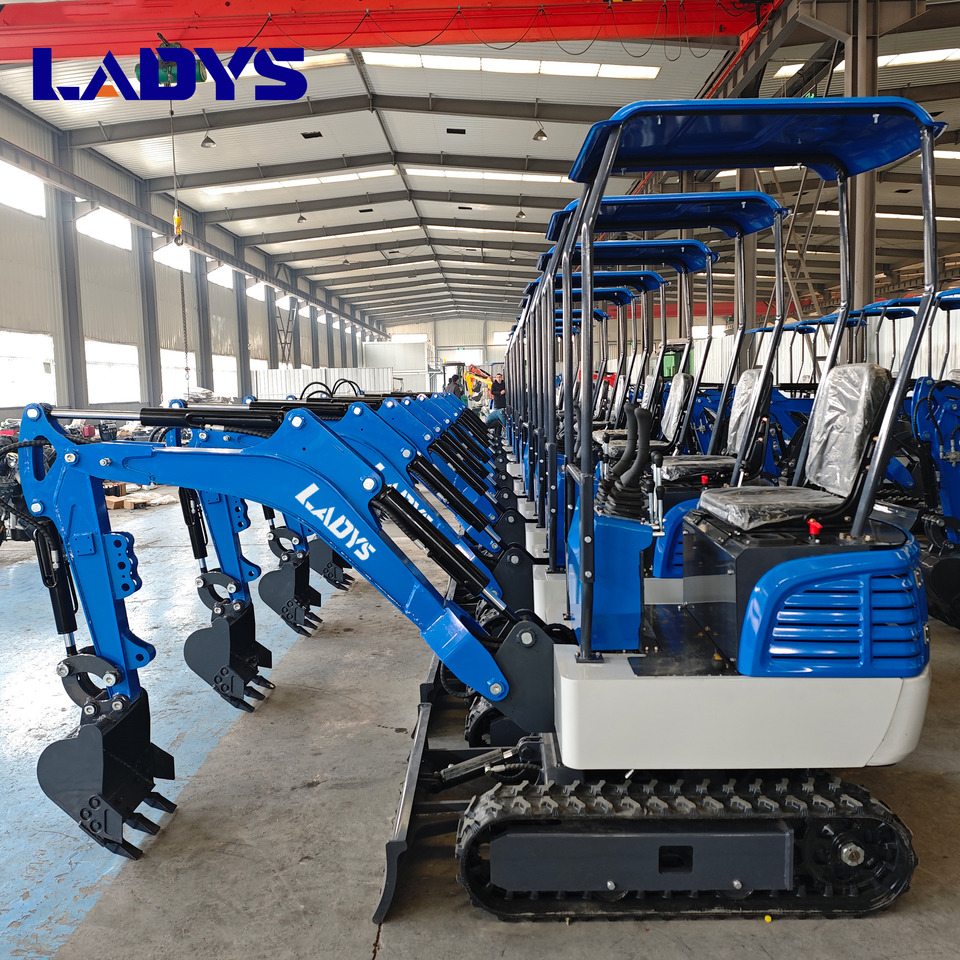 LADYS DY12Pro Mini Excavator Kubota Engine Euro 5/EPA/CE Mini Excavator Digger Miniexcavadora Mini Excavator For Sale - Ekskavator perayap: gambar 5 LADYS DY12Pro Mini Excavator Kubota Engine Euro 5/EPA/CE Mini Excavator Digger Miniexcavadora Mini Excavator For Sale - Ekskavator perayap: gambar 5