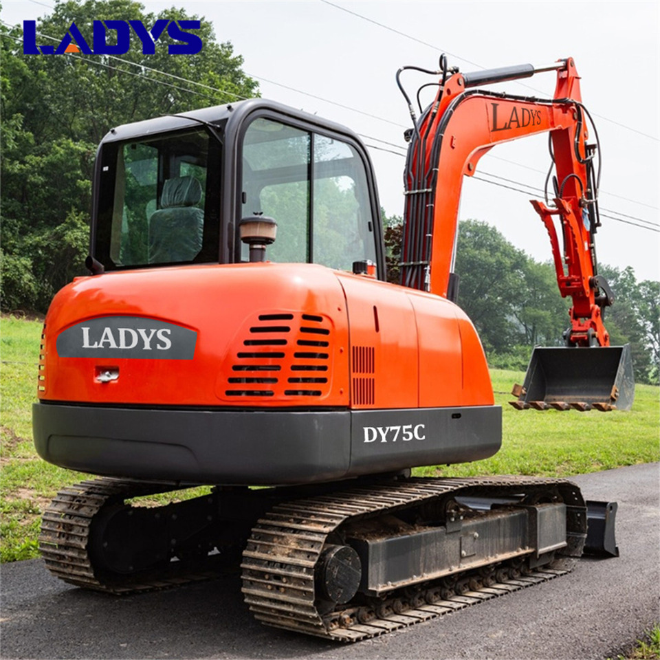 LADYS DY75C Small Excavator Euro 5/Epa Yanmar Engine Small Excavator Crawler Excavator For Sale - Ekskavator perayap: gambar 3 LADYS DY75C Small Excavator Euro 5/Epa Yanmar Engine Small Excavator Crawler Excavator For Sale - Ekskavator perayap: gambar 3