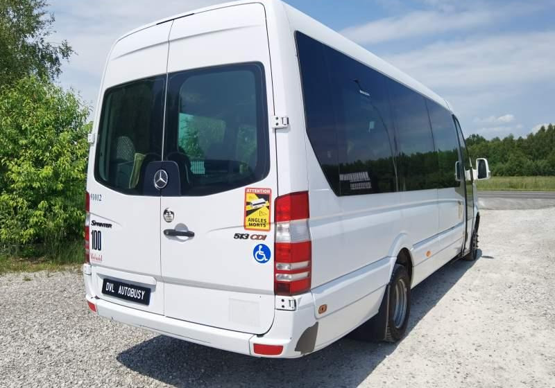 Bus pinggiran kota Mercedes-Benz Sprinter *klima*webasto*: gambar 15