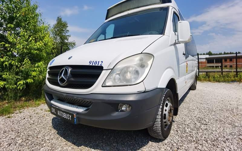 Bus pinggiran kota Mercedes-Benz Sprinter *klima*webasto*: gambar 13