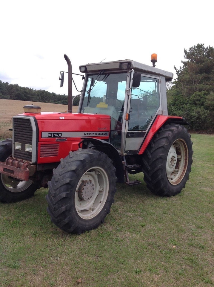 Massey Ferguson 3120 - Traktor: gambar 1 Massey Ferguson 3120 - Traktor: gambar 1