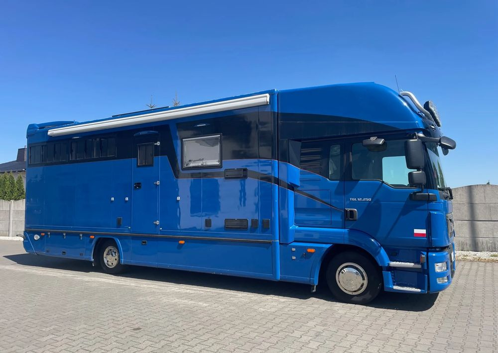 MAN TGL 12.250/ KONIOWÓZ- ROELOFSEN/ 4 KONIE/ - Truk pengangkut kuda: gambar 3 MAN TGL 12.250/ KONIOWÓZ- ROELOFSEN/ 4 KONIE/ - Truk pengangkut kuda: gambar 3