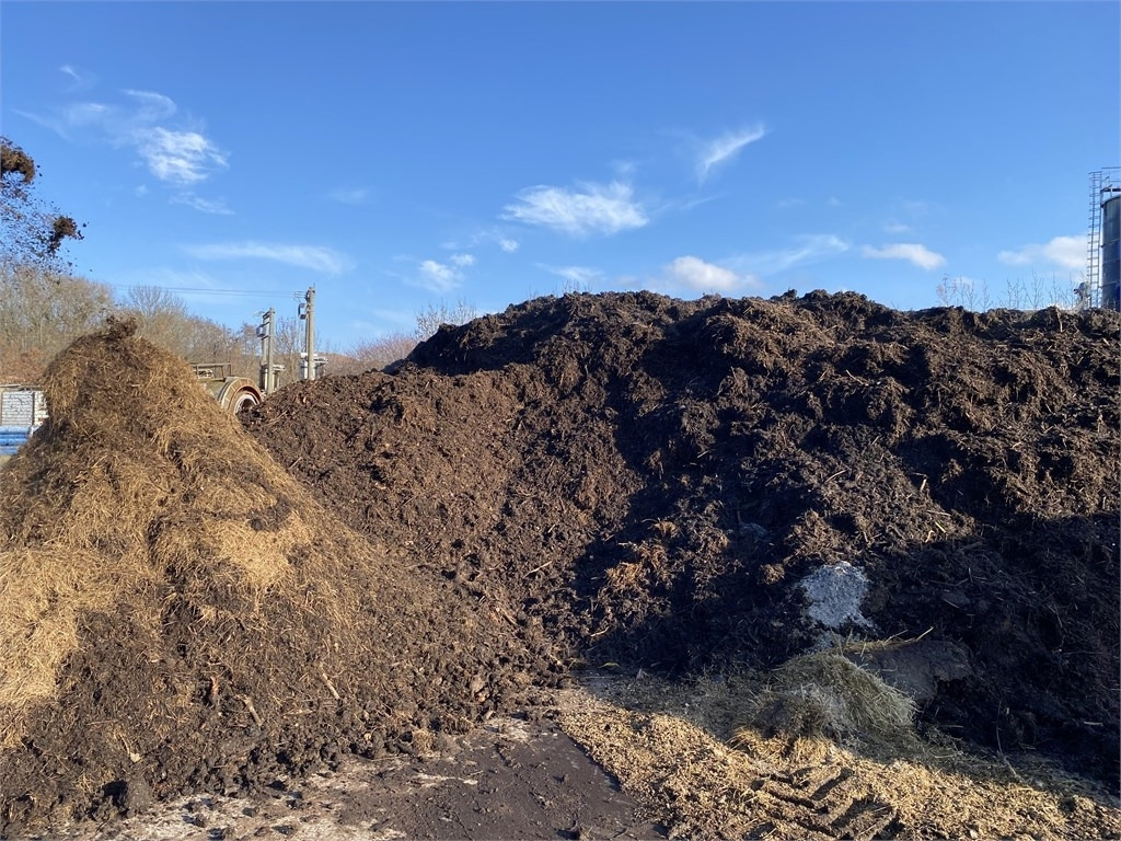 Bizon B-1030 Kompost Schredder Biomasse Mist Compost shr - Penghancur jerami: gambar 3 Bizon B-1030 Kompost Schredder Biomasse Mist Compost shr - Penghancur jerami: gambar 3